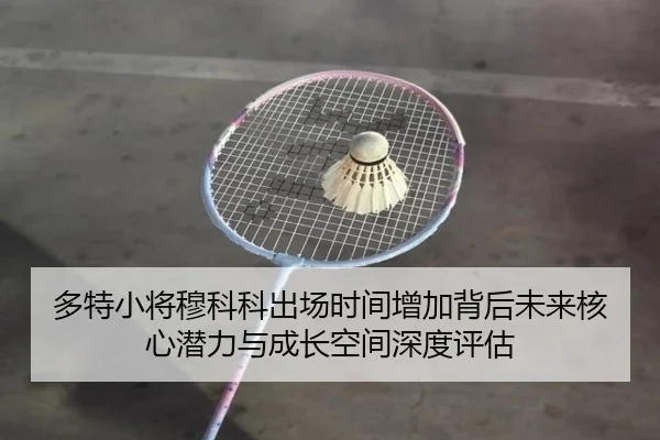 多特小将穆科科出场时间增加背后未来核心潜力与成长空间深度评估
