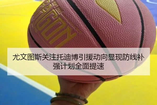 尤文图斯关注托迪博引援动向显现防线补强计划全面提速