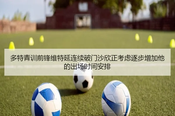 多特青训前锋维特延连续破门沙欣正考虑逐步增加他的出场时间安排